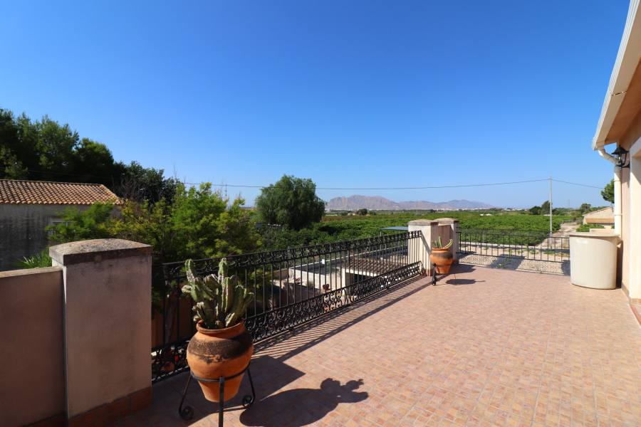 Finca in Albatera – 4