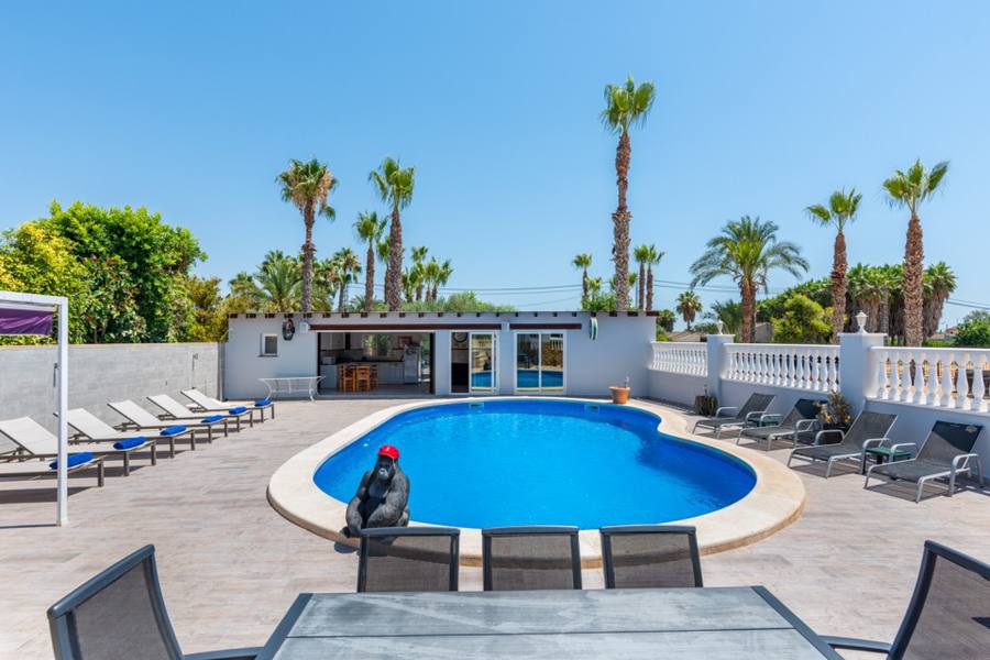 Finca in Catral – 2