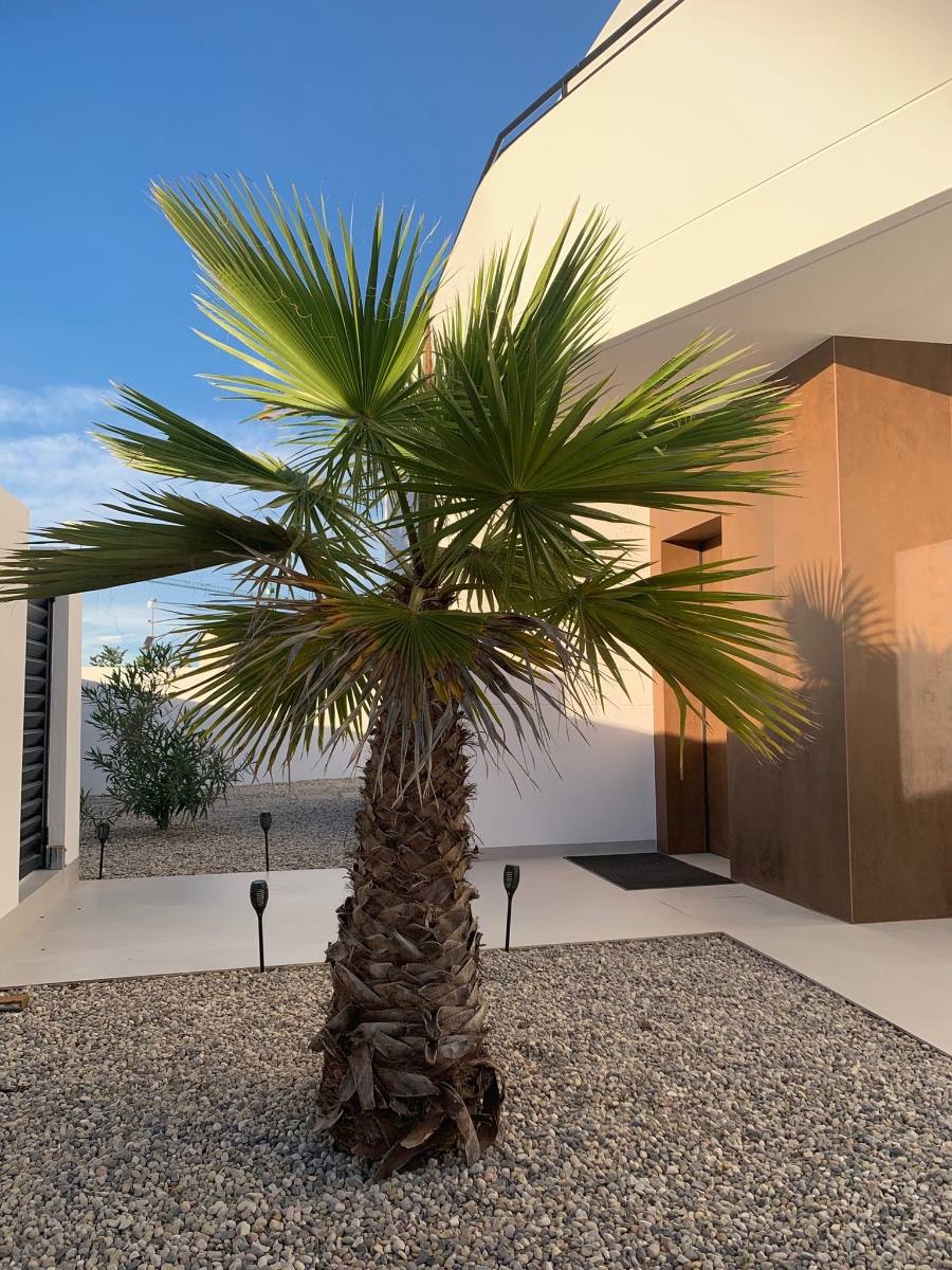 Villa in Ciudad Quesada, Rojales – 4